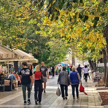 아파트 Aleksandra 2 8