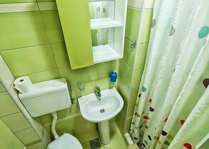 Aleksandra 2 8 소코 반자