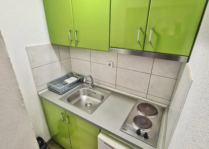 Aleksandra 2 8 아파트 *