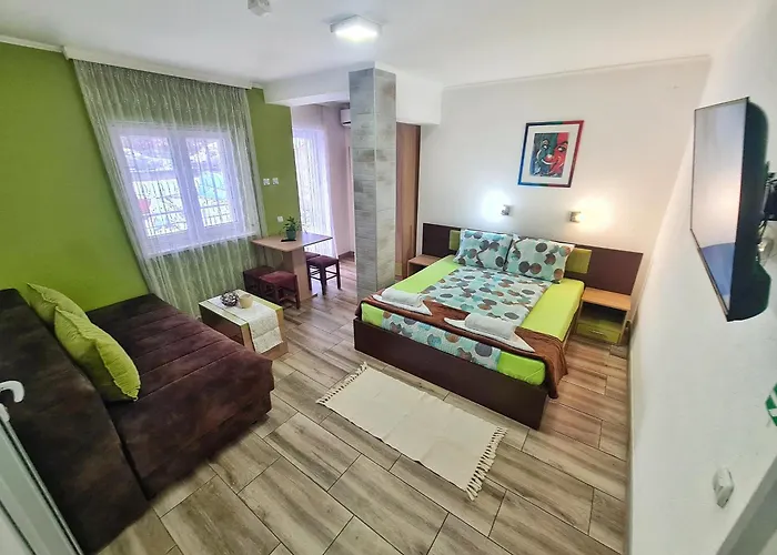 Aleksandra 2 8 소코 반자