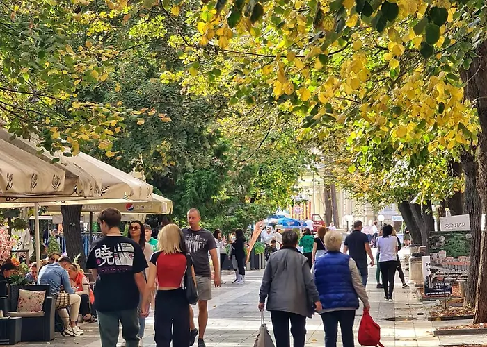 아파트 Aleksandra 2 8